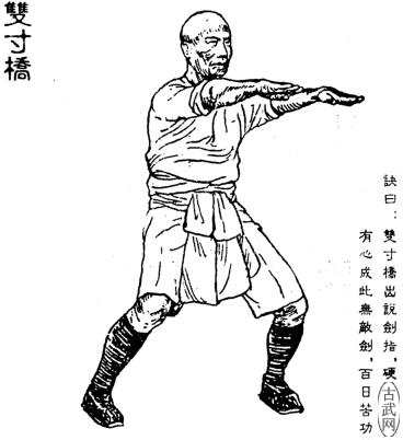 ˫