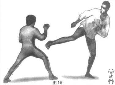 ͼ19