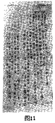 ͼ11