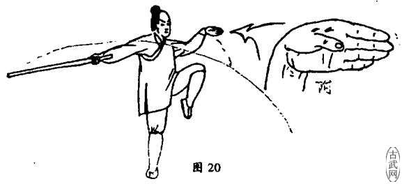 ͼ 20