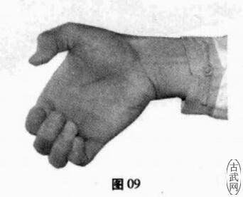 ͼ09