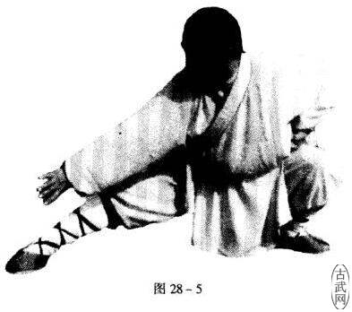 ͼ28һ5