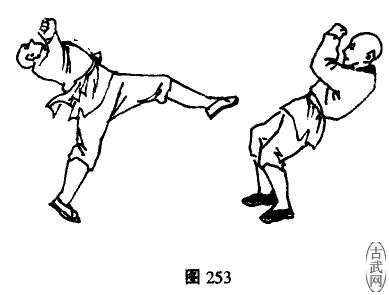 ͼ253