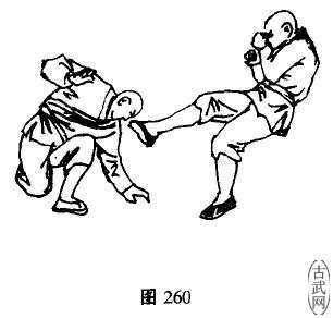 ͼ260