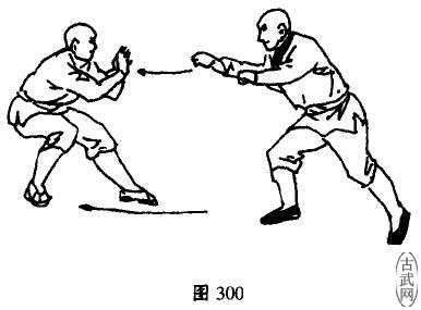 ͼ300