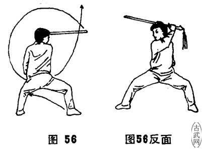 ͼ56
