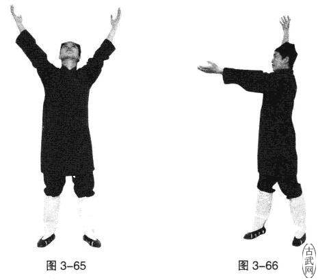 ͼ3-65ͼ3-66
