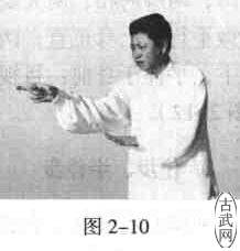 ͼ2-10