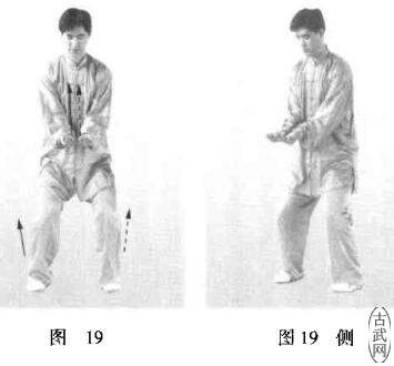 ͼ19ͼ19