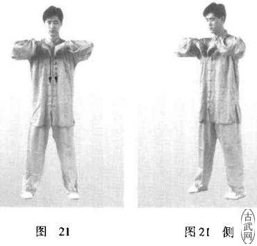ͼ21ͼ21
