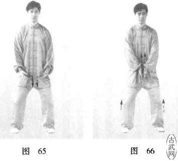 ͼ65ͼ66