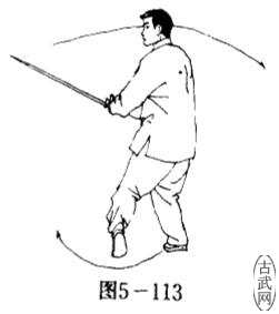 ͼ5-113