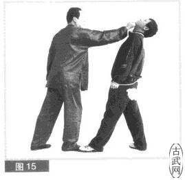 ͼ15