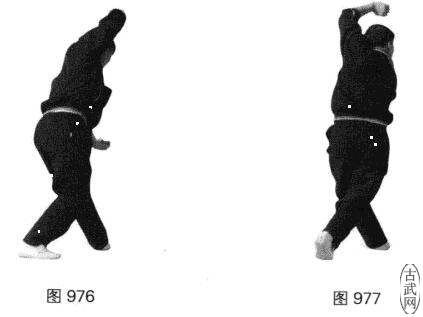 ͼ976ͼ977
