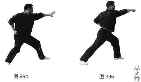 ͼ994ͼ995