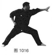 Ӵ÷ȭʮʮʽָ鲽Ƶ