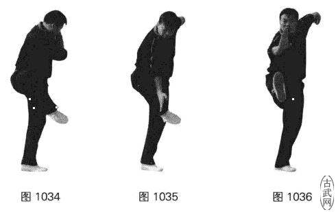 ͼ1034ͼ1035ͼ1036