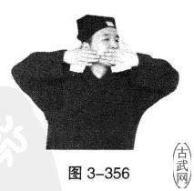 ͼ3-356