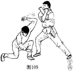 ͼ109