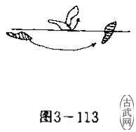 ͼ3-113