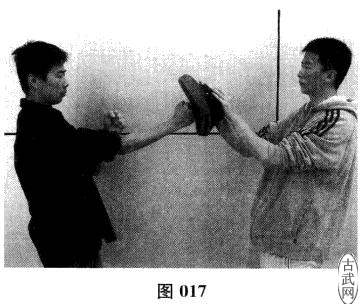 ͼ017