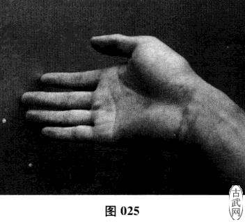 ͼ025