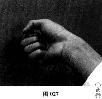 ͼ027