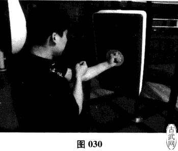 ͼ030