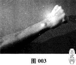 ͼ003
