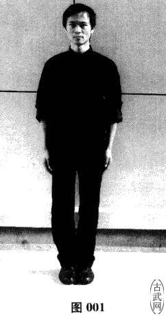 ͼ001