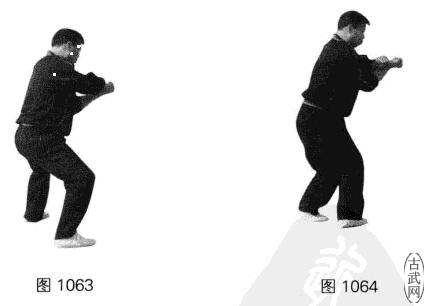 ͼ1063ͼ1064