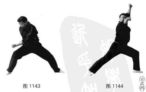 ͼ1143ͼ1144