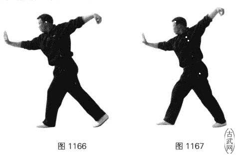 ͼ1166ͼ1167