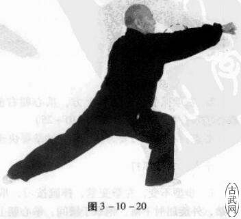 ͼ3һ10һ20