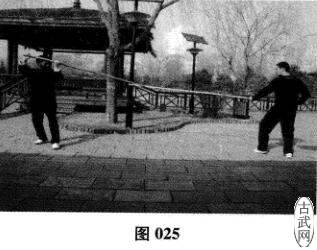 ͼ025