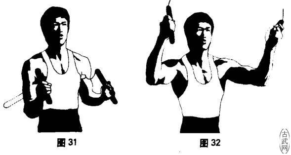ͼ31ͼ32