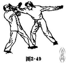 ͼ2-49