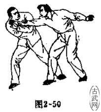 ͼ2-50