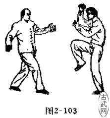 ͼ2-103