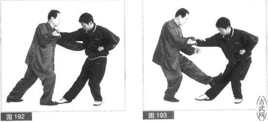 ͼ192ͼ193