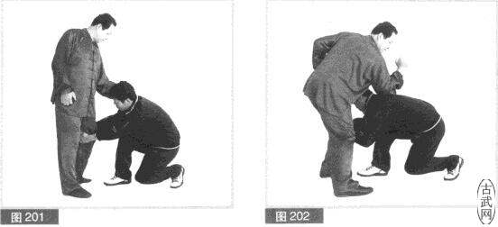 ͼ201ͼ202