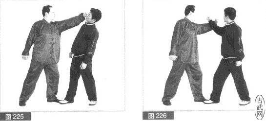 ͼ225ͼ226
