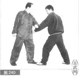 ͼ240