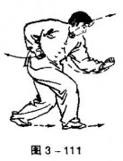 ʮʽȭʽֺС粽ȭ