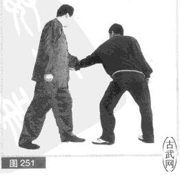 ͼ251