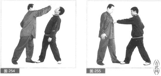 ͼ254ͼ255