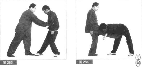 ͼ283ͼ284