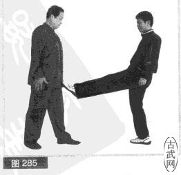 ͼ285
