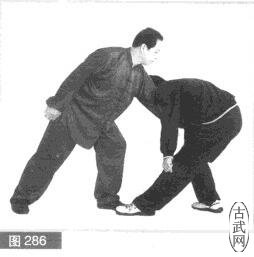 ͼ286