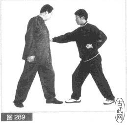 ͼ289